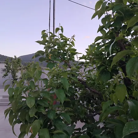 Lakka *